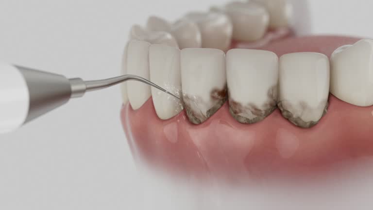 Reliable Dental contractor in Laingsburg, MI by Dentist Open Now
